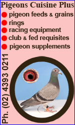 Pigeons Cuisine Plus
