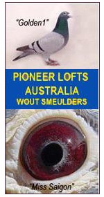 Pioneer Lofts Australia